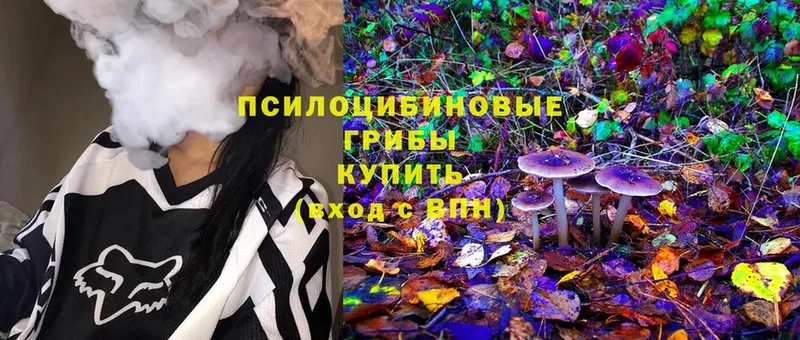 Галлюциногенные грибы Cubensis  Белёв 